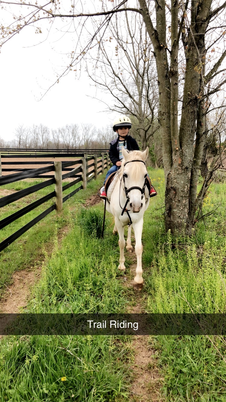 Boarding Black Horse Stables